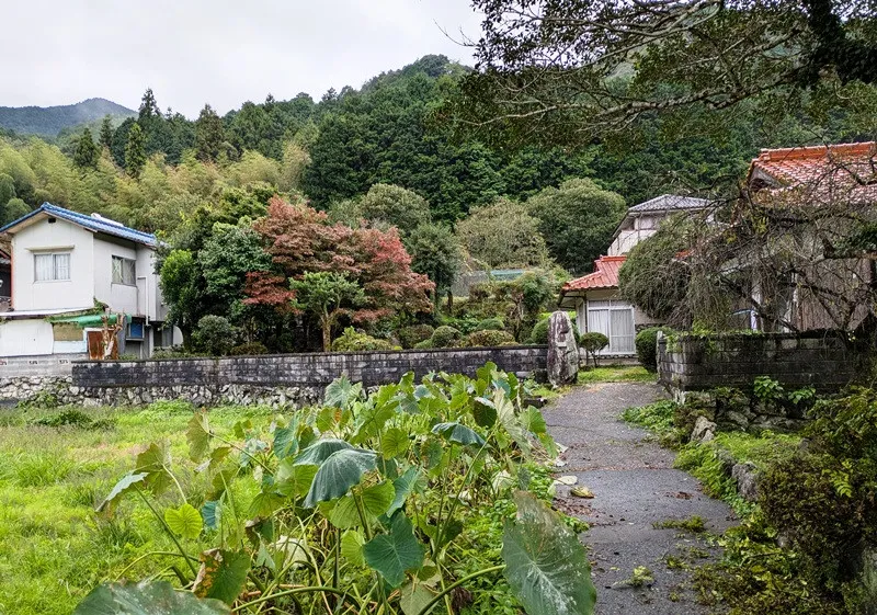 裏に山林、前には農地のある母屋と離れ、駅にも近く環境がとても良いところです 写真 2