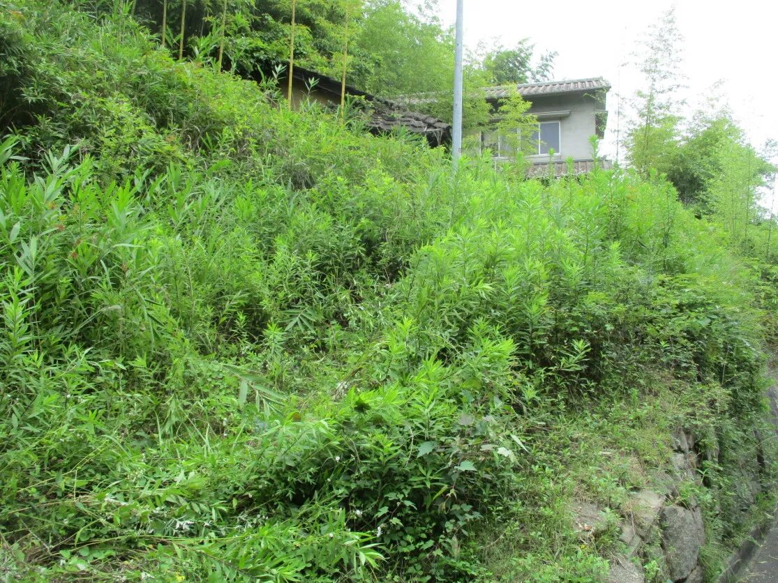 Quiet Wooden Detached House in Ōgi, Kasaoka City, Okayama Prefecture, Suitable for Land Use — Property No. 76 photo 3