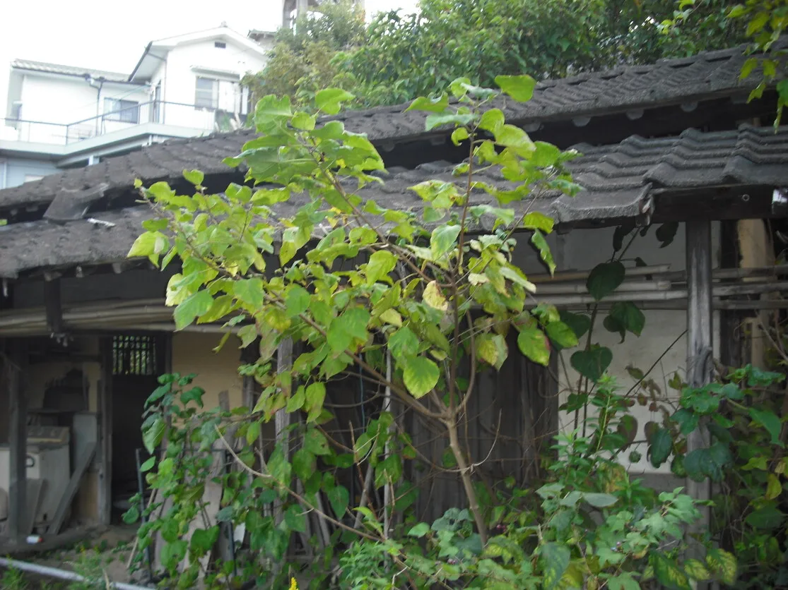 Quiet Wooden Detached House in Ōgi, Kasaoka City, Okayama Prefecture, Suitable for Land Use — Property No. 76 photo 9