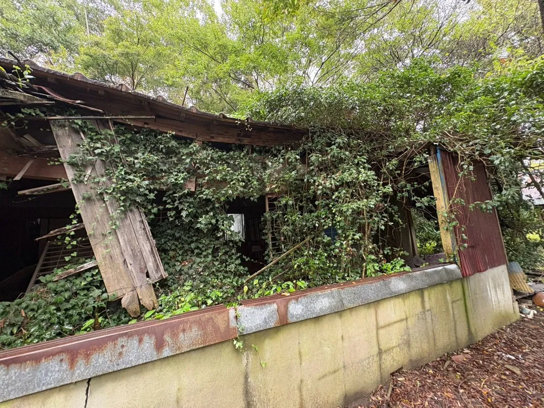 茨城県稲敷郡河内町羽子騎の売地｜615.33㎡・38万円 写真 3