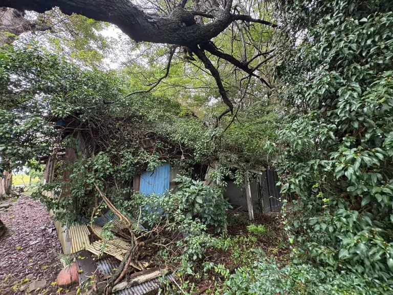 茨城県稲敷郡河内町羽子騎の売地｜615.33㎡・38万円 物件写真