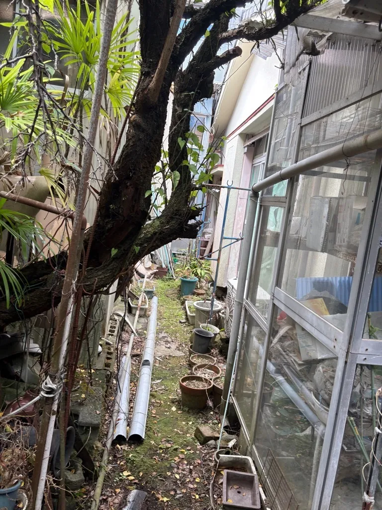 Existing Detached House in Kinkodai (Seiwadai), Kagoshima City, Kagoshima Prefecture | For Demolition and Land Use photo 4