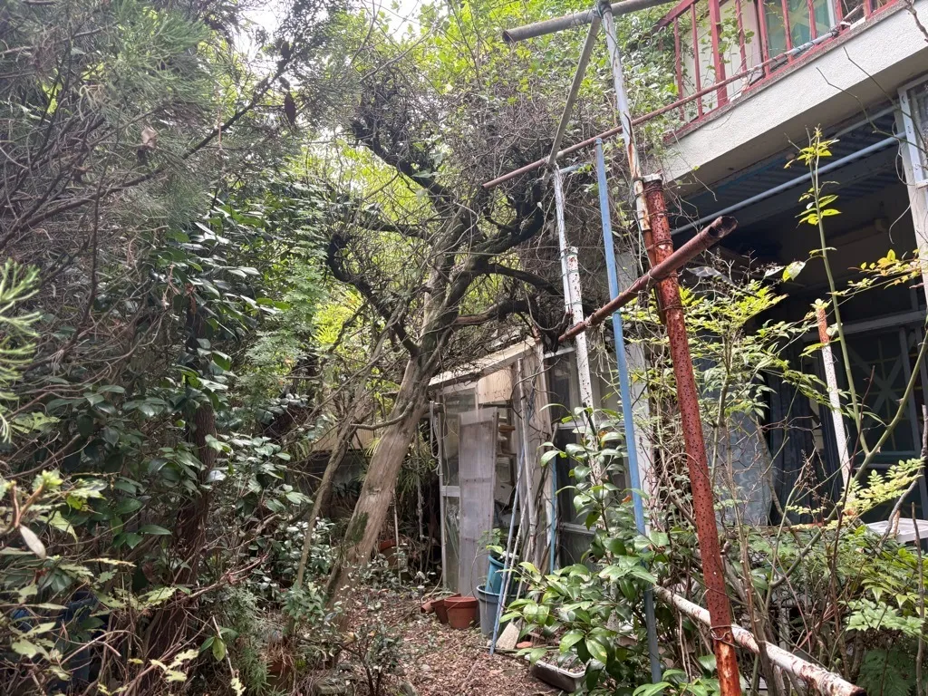 Existing Detached House in Kinkodai (Seiwadai), Kagoshima City, Kagoshima Prefecture | For Demolition and Land Use photo 2
