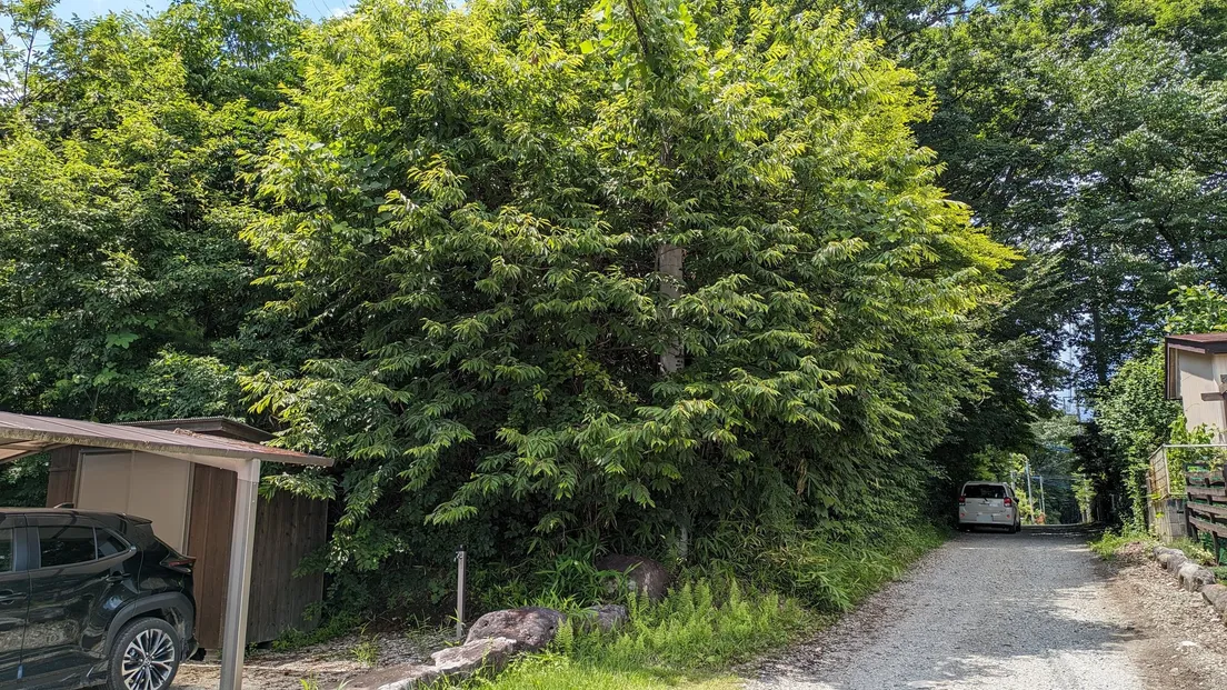 栃木県那須郡那須町高久甲｜雑木林の山林218坪、接道要件に注意が必要な土地 写真 7