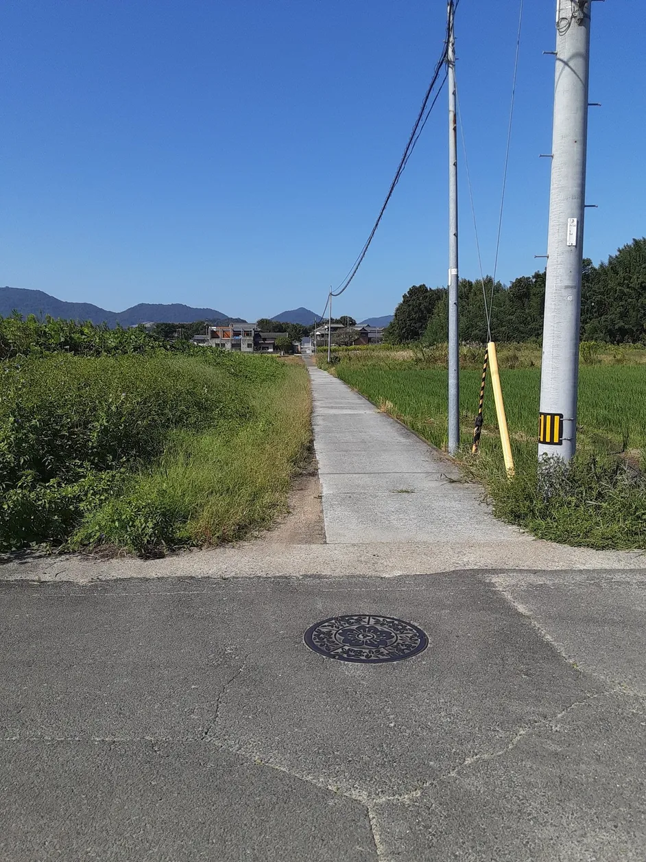香川県三豊市の農地517㎡｜譲渡価格0円、田園に囲まれた土地 写真 3