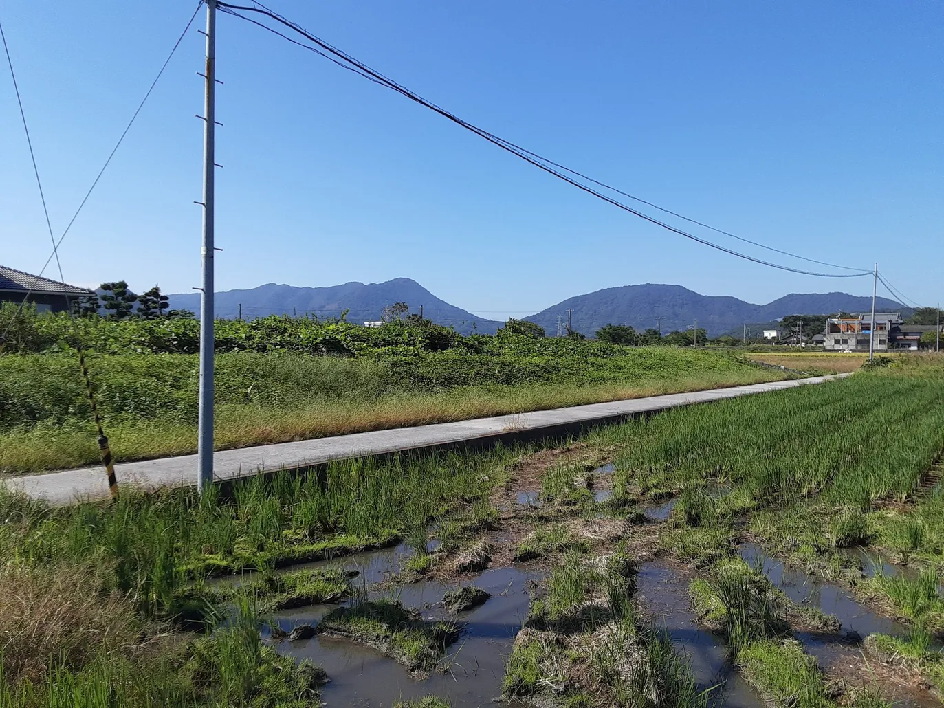 香川県三豊市の農地517㎡｜譲渡価格0円、田園に囲まれた土地 写真 5