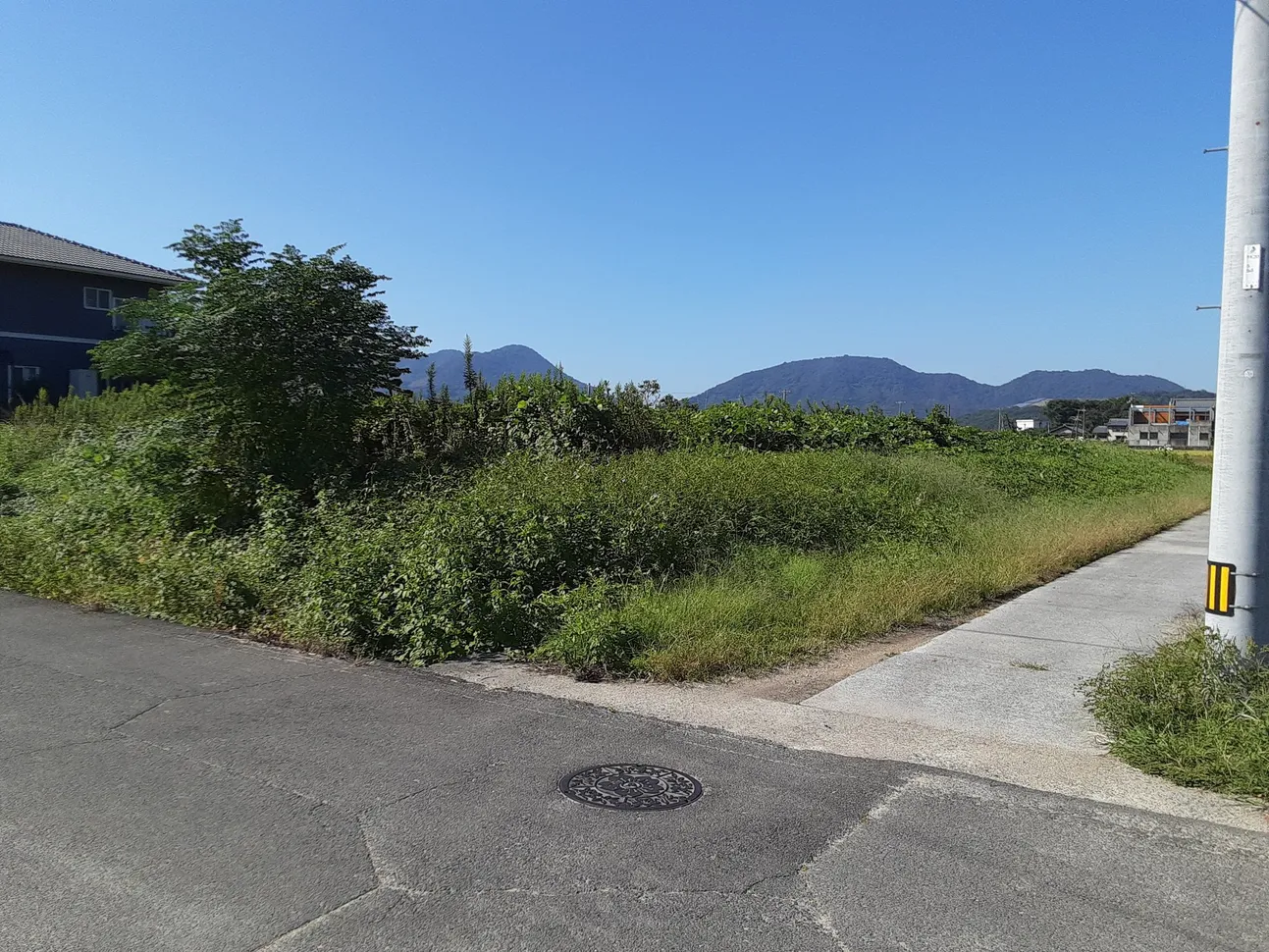 香川県三豊市の農地517㎡｜譲渡価格0円、田園に囲まれた土地 写真 4