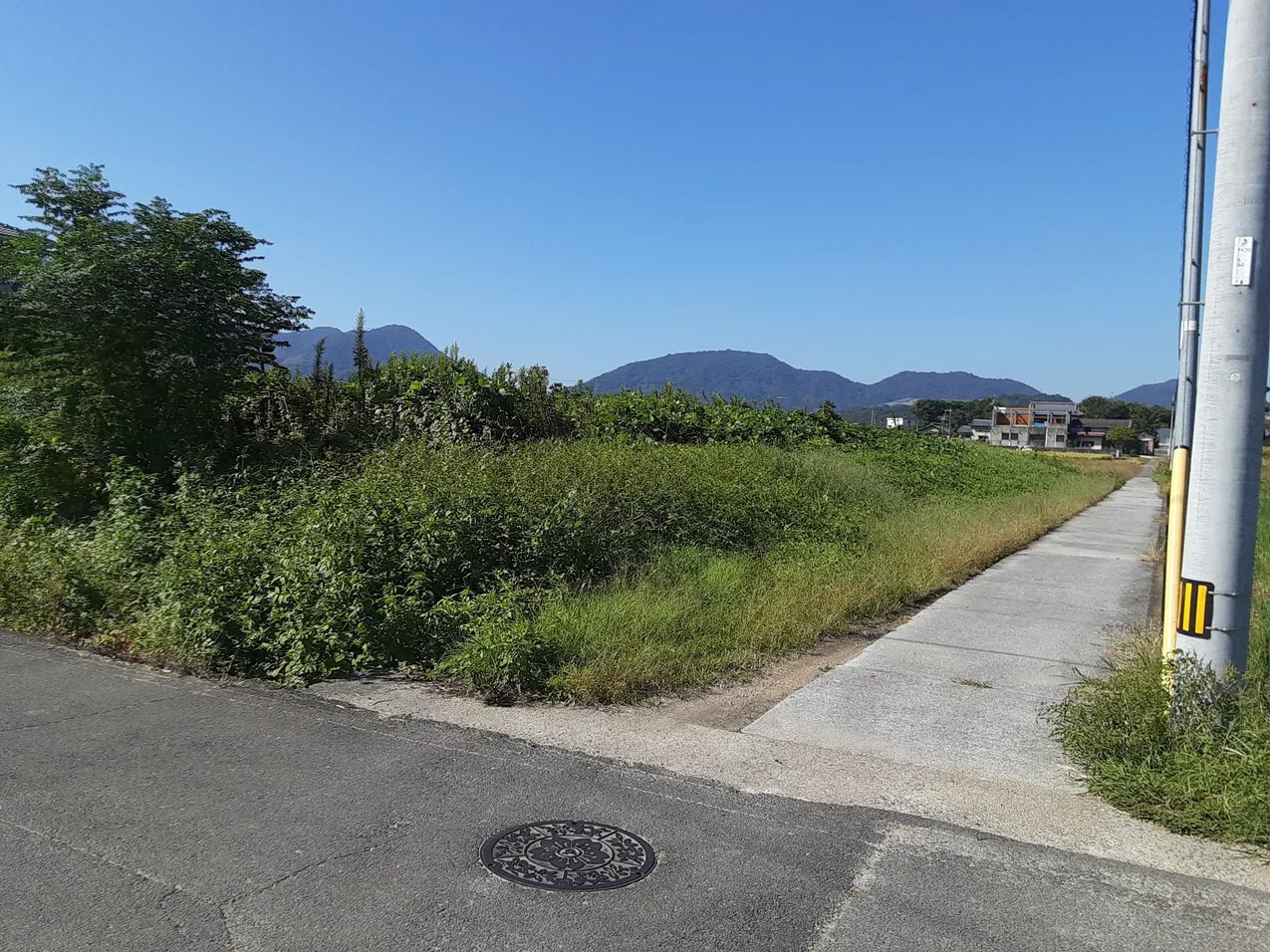 香川県三豊市の農地517㎡｜譲渡価格0円、田園に囲まれた土地 写真 2