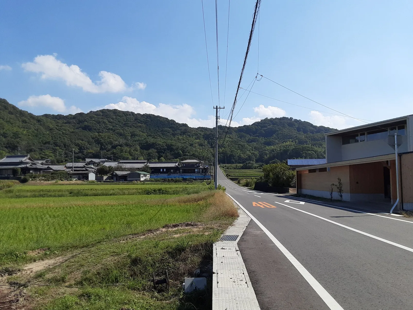 香川県三豊市三野町吉津の土地13筆、合計10,153㎡を譲渡代金0円で募集 写真 9