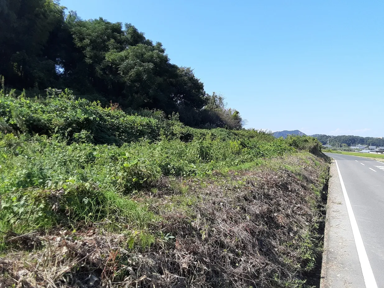 香川県三豊市三野町吉津の土地13筆、合計10,153㎡を譲渡代金0円で募集 写真 6