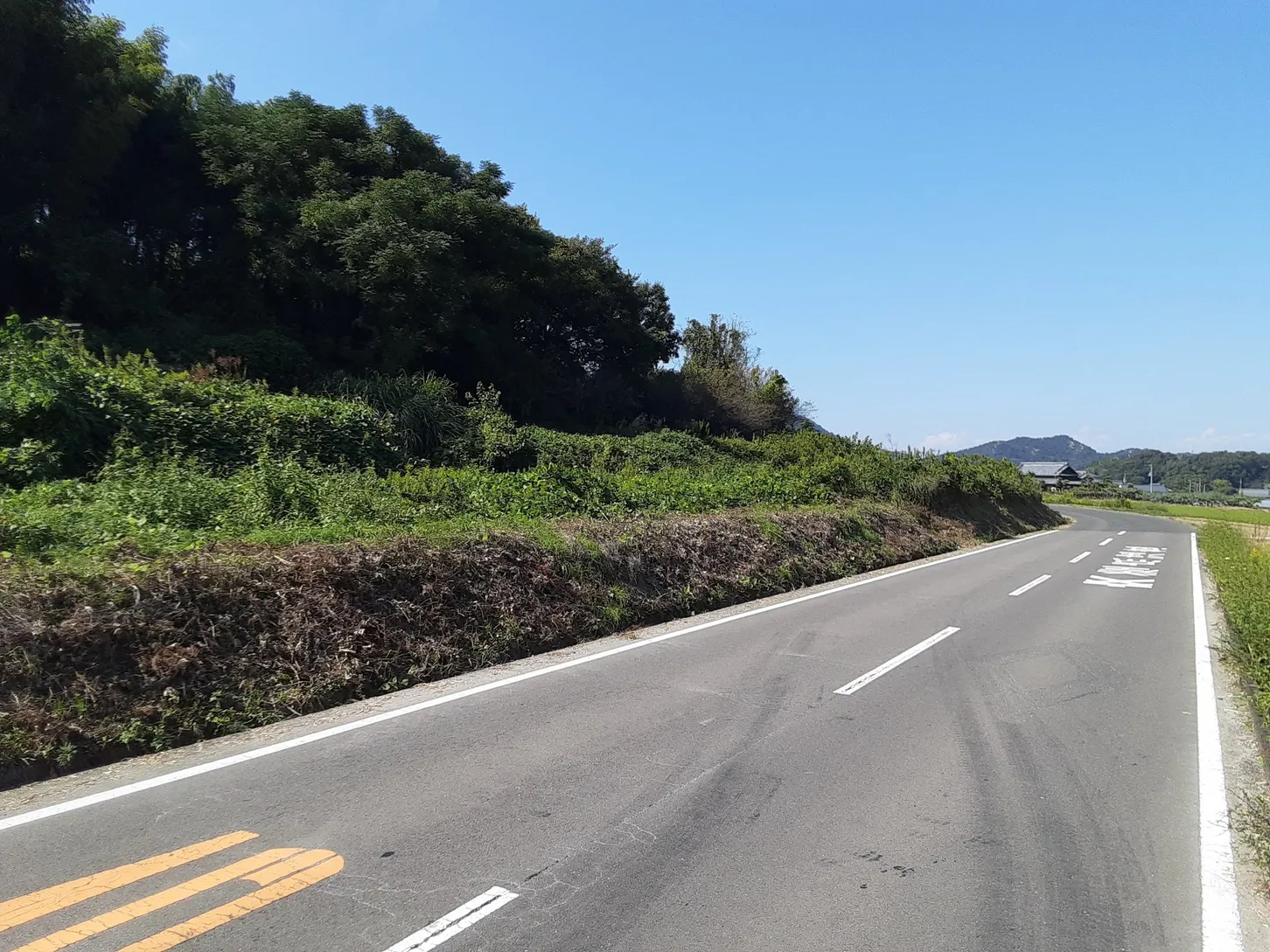 香川県三豊市三野町吉津の土地13筆、合計10,153㎡を譲渡代金0円で募集 写真 5