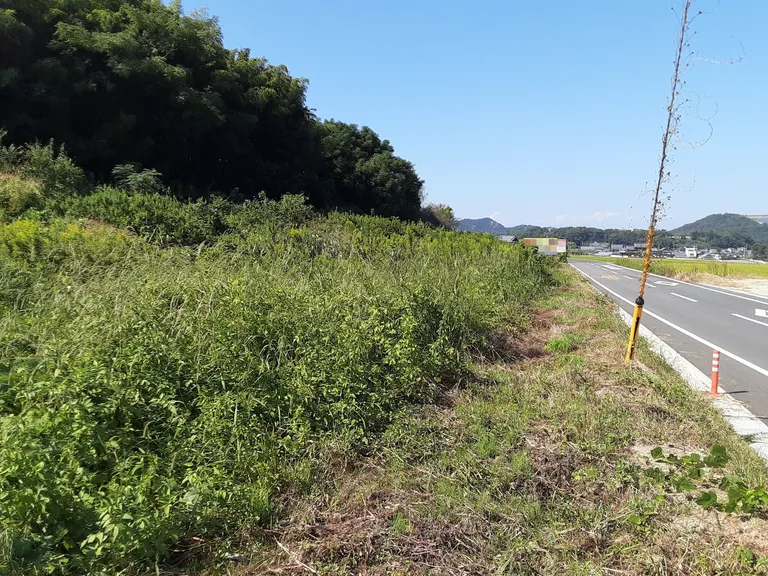 香川県三豊市三野町吉津の土地13筆、合計10,153㎡を譲渡代金0円で募集 物件写真