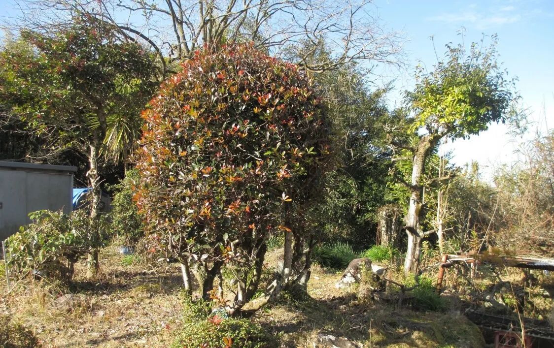 One-Story Used House in Kamiide, Arao City, Kumamoto Prefecture, 4DK, Land 806.20 m² photo 8