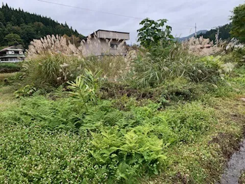 Land for Sale in the Shichiken Area of Oe Town, Nishimurayama District, Yamagata Prefecture — 3-Minute Walk to Yanagawa Onsen, 577.7 m² property photo