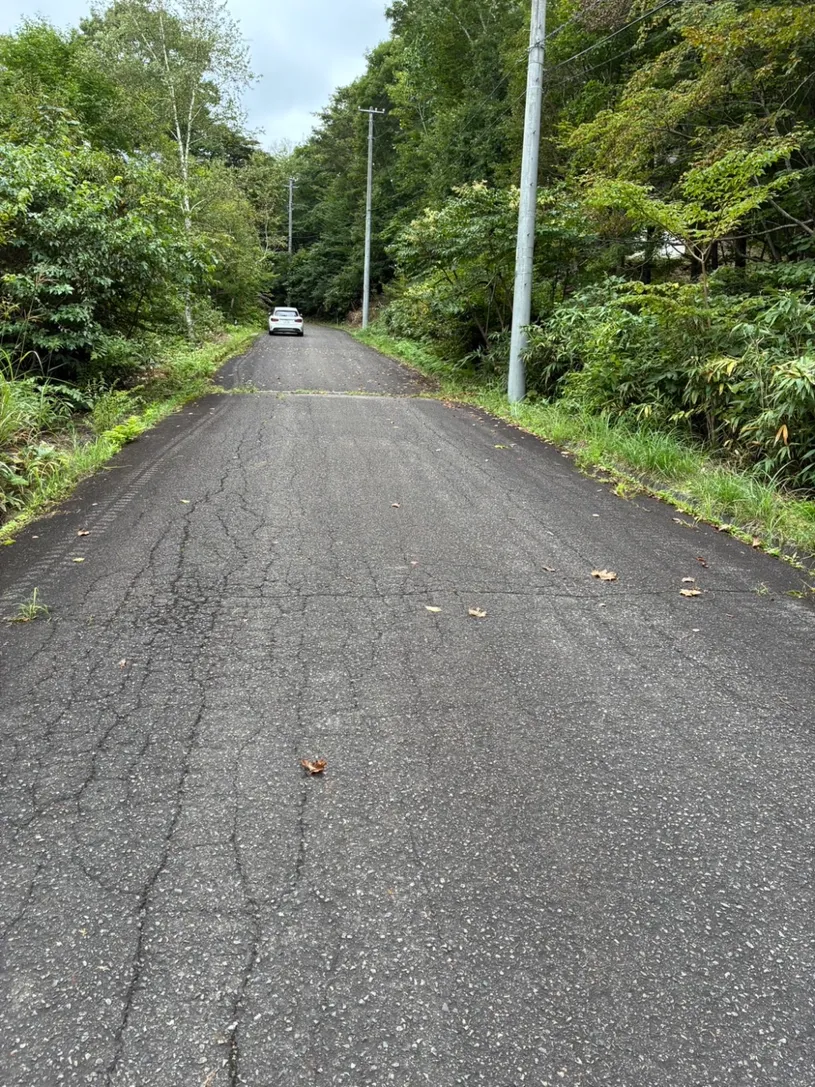 Vacation-home development land near Lake Hatori in Tenei Village, Fukushima Prefecture: 899.22㎡ (272 tsubo) of flat land photo 4