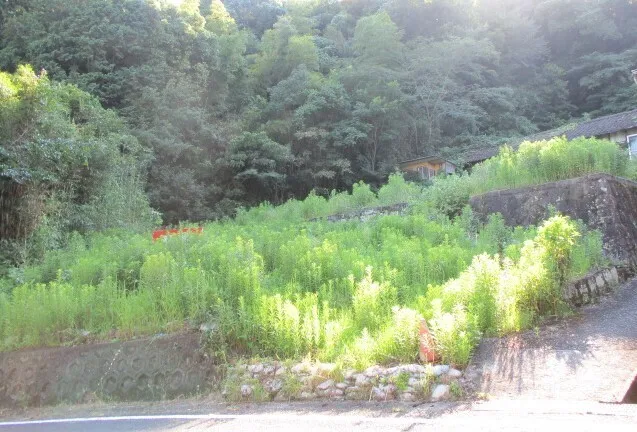 佐賀県多久市北多久町大字小侍の売地｜更地644.54㎡ 写真 3