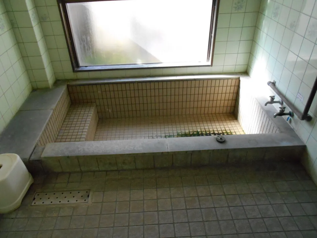 Spring-fed hot-spring facility and habitable 4LDK in Mukae, Ebino City, Miyazaki Prefecture photo 4