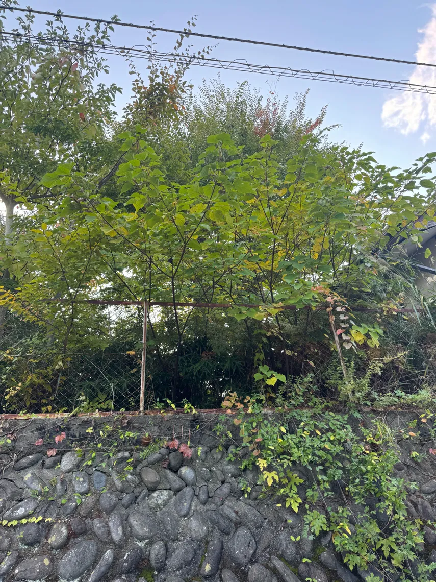 A Single-Story Detached Home with Open Views in Midorigaoka, Taihaku Ward, Sendai photo 3