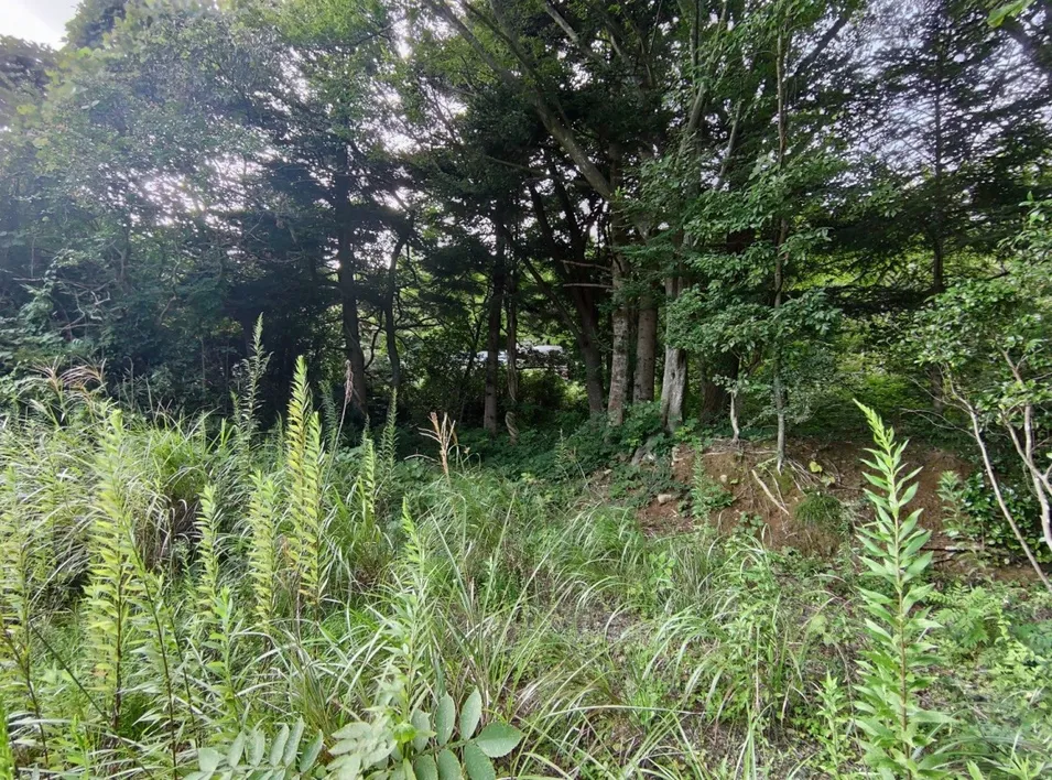 Land for Sale in Ōtani, Naraha Town | 7,658.48 m² Vacant Lot photo 2