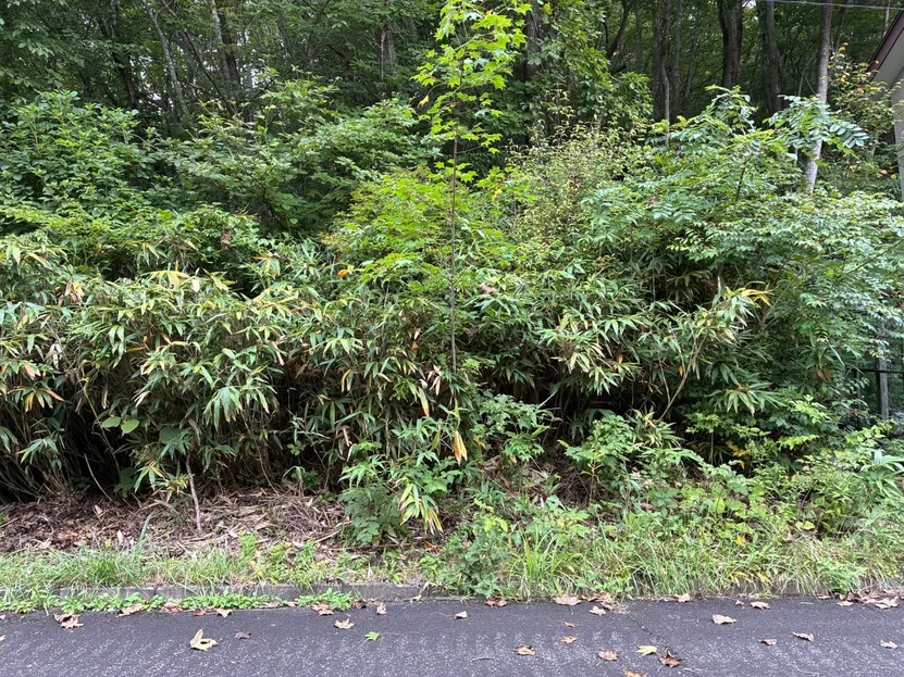Tenei Village, Iwase District, Fukushima Prefecture | ¥0 for an 899㎡ vacation-home lot surrounded by forest west of Lake Hatori photo 4