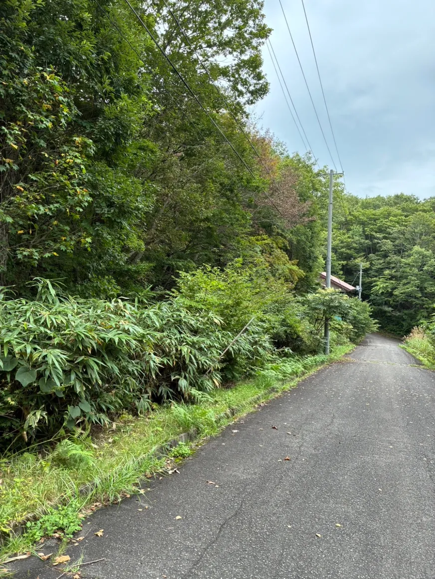 Tenei Village, Iwase District, Fukushima Prefecture | ¥0 for an 899㎡ vacation-home lot surrounded by forest west of Lake Hatori photo 2