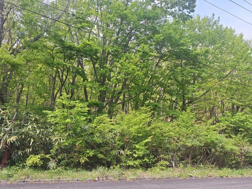 Tenei Village, Iwase District, Fukushima Prefecture | ¥0 for an 899㎡ vacation-home lot surrounded by forest west of Lake Hatori photo 5