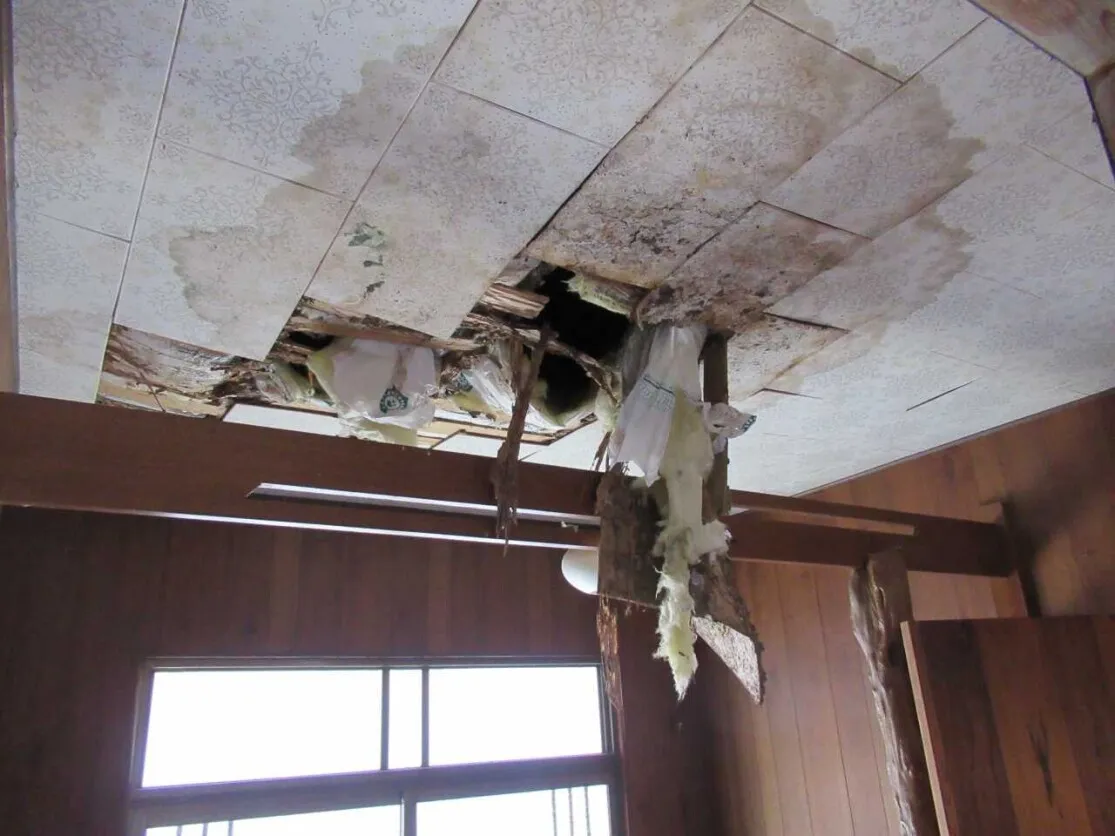 宇佐市院内町の店舗スペース付き平屋住宅｜5LDK・庭付き 写真 9
