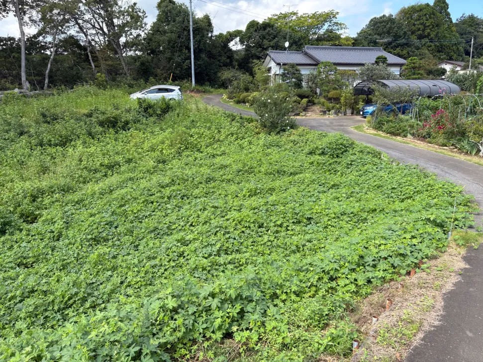 茨城県常陸太田市の山林｜複数区画まとめて売却・電柱敷地料あり 写真 2