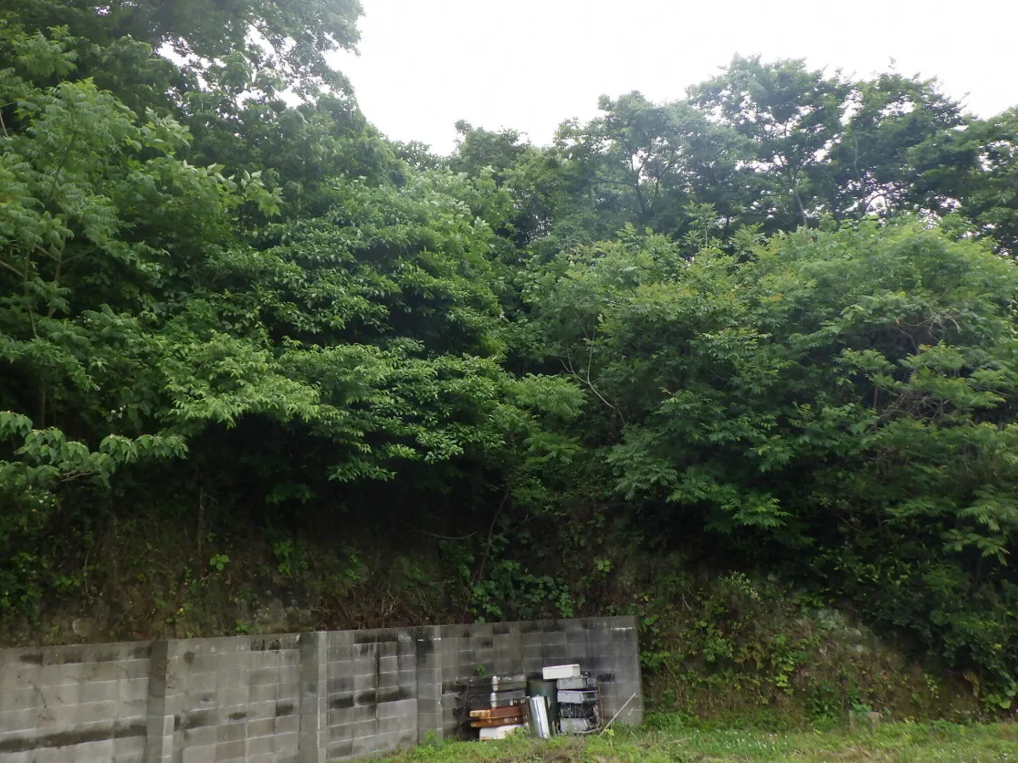 571 m² vacant lot with sea views in Kariyā, Genkai, Saga Prefecture photo 3