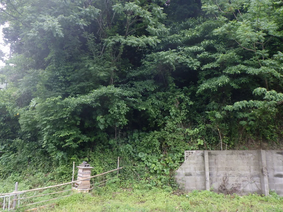 571 m² vacant lot with sea views in Kariyā, Genkai, Saga Prefecture photo 4