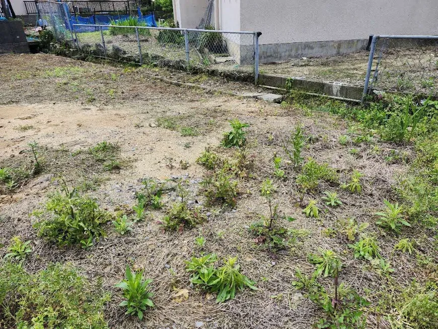 佐賀県玄海町仮屋｜漁港近くの土地 写真 4