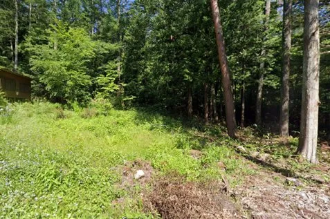 長野県安曇野市穂高牧の別荘地｜北アルプスに近い土地725㎡・共有持分、価格0円 物件写真