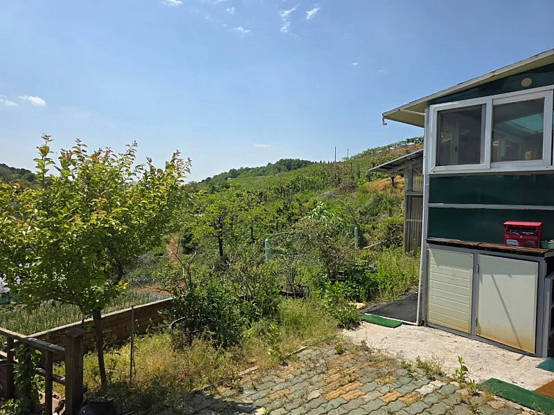 Detached House for Sale in Ipchim-ri, Eungbong-myeon, Yesan-gun, Chungcheongnam-do; Land Approx. 100 pyeong, Building Approx. 20 pyeong photo 5