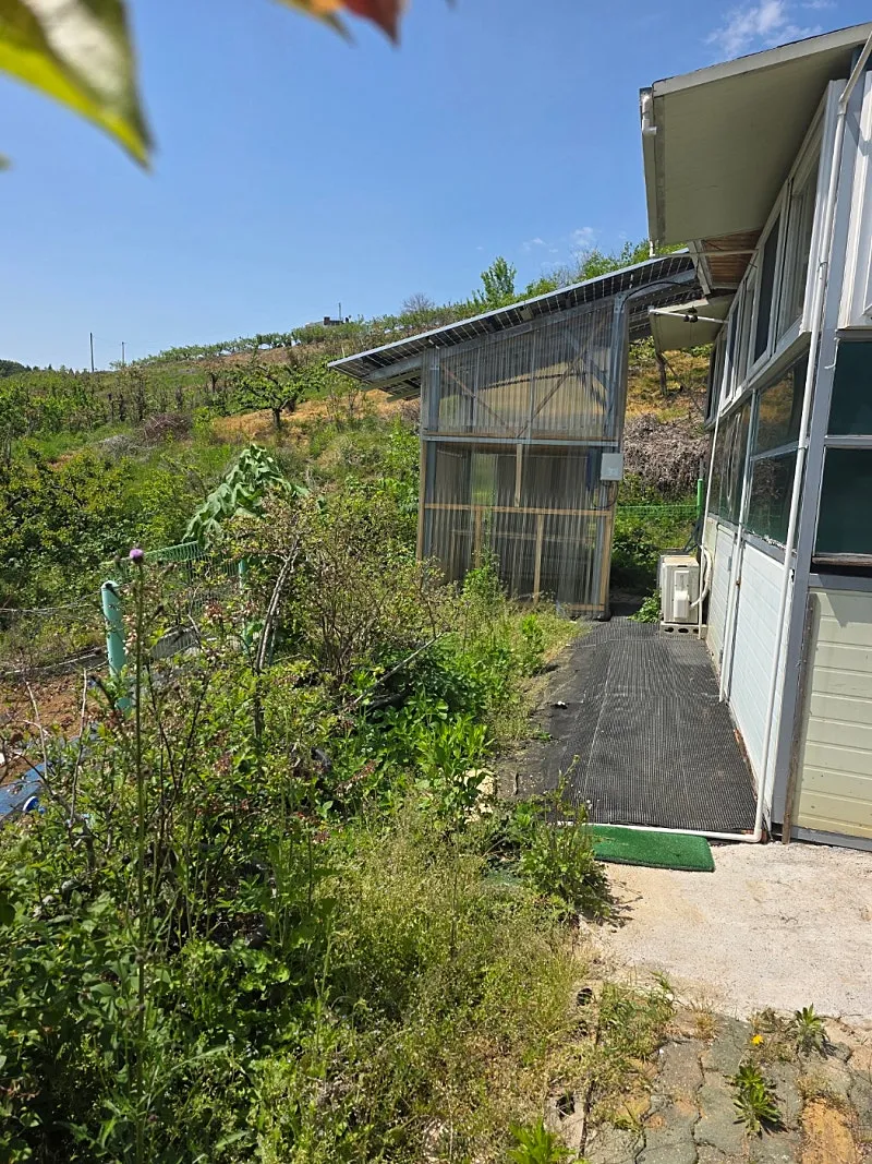 Detached House for Sale in Ipchim-ri, Eungbong-myeon, Yesan-gun, Chungcheongnam-do; Land Approx. 100 pyeong, Building Approx. 20 pyeong photo 10
