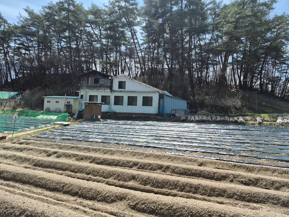 Garden Property for Sale on a Two-Lane Road in Bongyang-eup, Jecheon photo 5