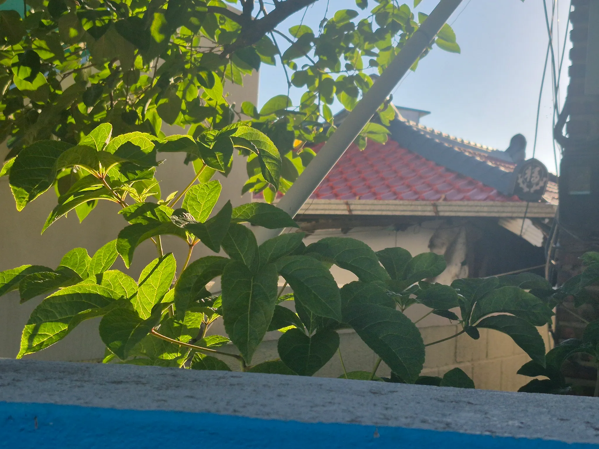 House for Sale in a Quiet Residential Neighborhood in Jecheon, North Chungcheong Province photo 2