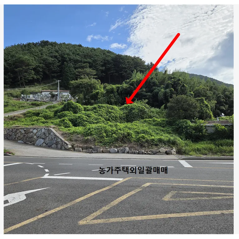 경상남도 남해군 삼동면 농가주택 매매, 대지 외 2필지 770평 매물 사진