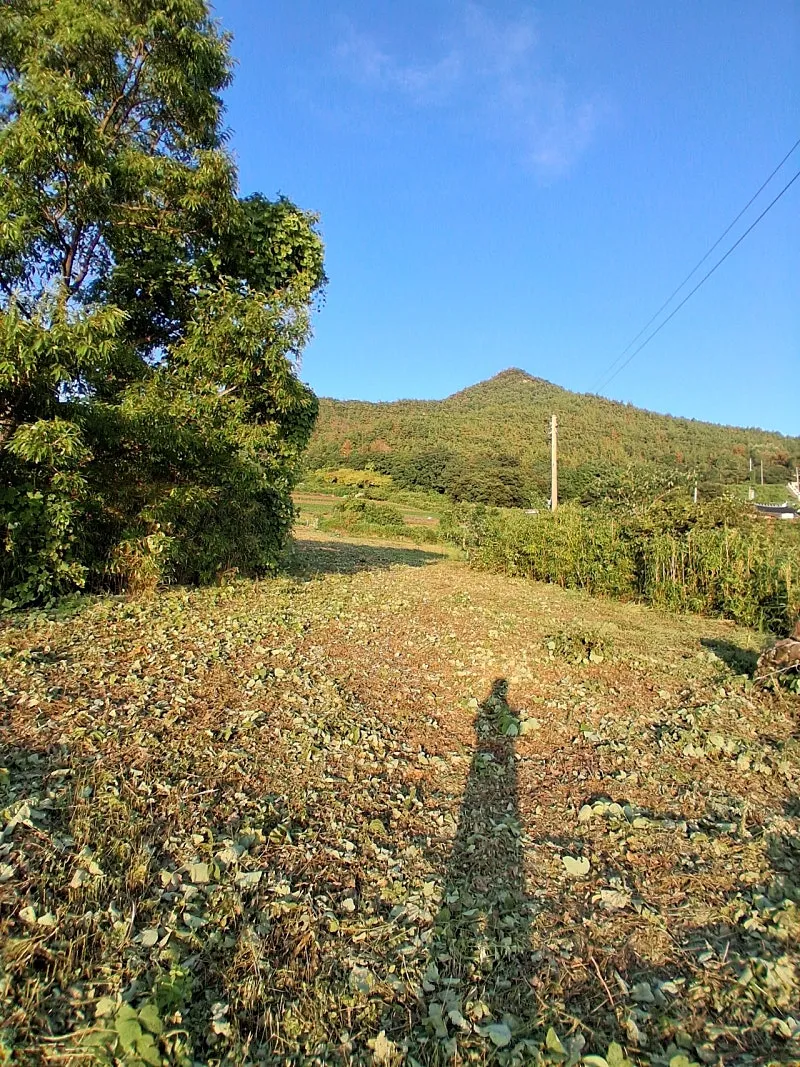 Sale of 580-Pyeong Plot with a Sea View in Yeosu photo 9