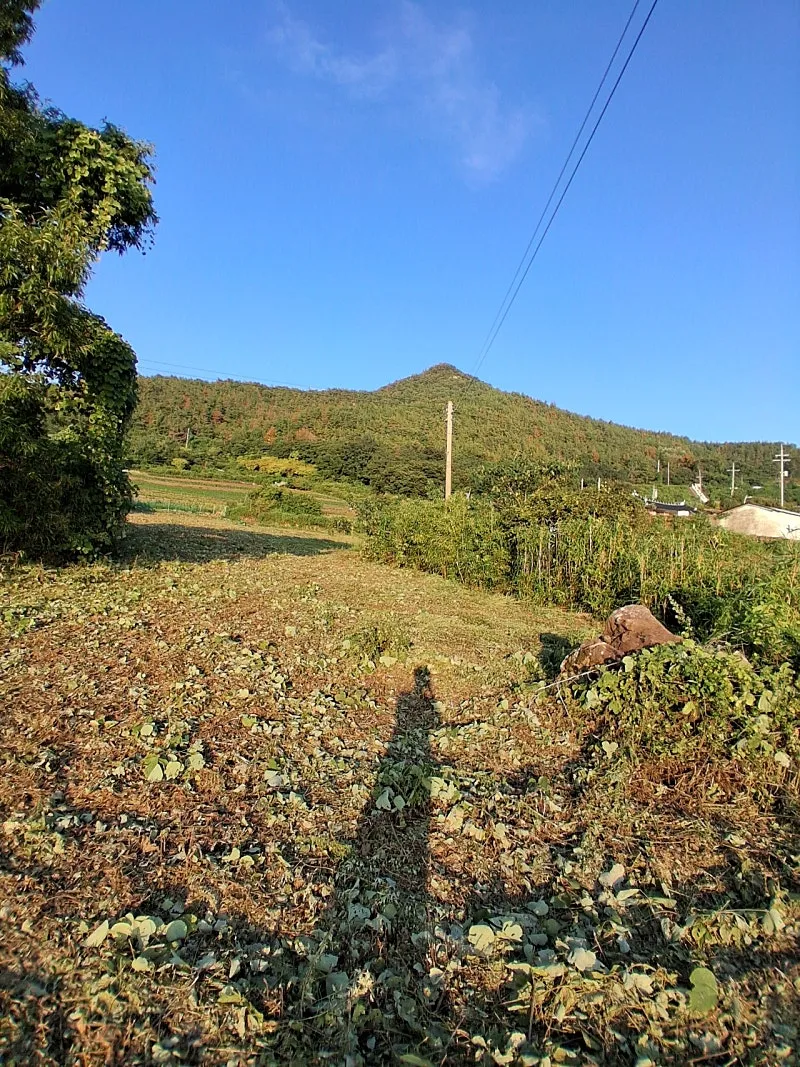 Sale of 580-Pyeong Plot with a Sea View in Yeosu photo 10