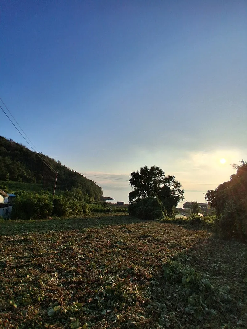 Sale of 580-Pyeong Plot with a Sea View in Yeosu photo 5
