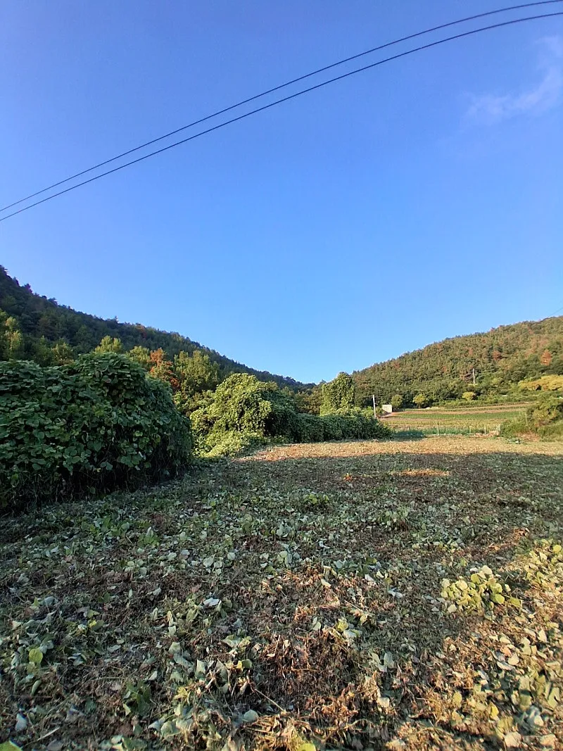 Sale of 580-Pyeong Plot with a Sea View in Yeosu photo 8
