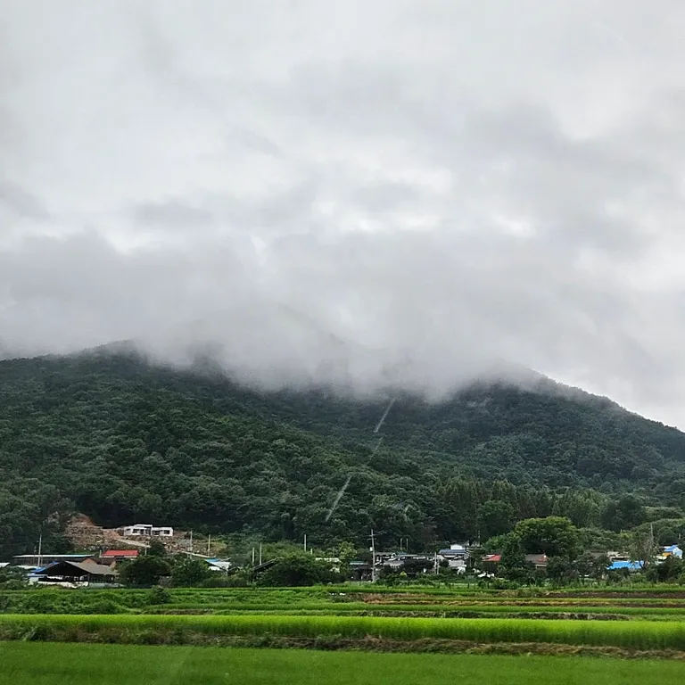 충남 예산군 둔리 전원주택 월세, 방 3개·화목난로 매물 사진
