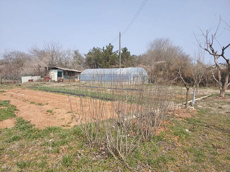 Country House for Sale in Bonghwang-myeon, Naju-si, Jeonnam, with Yard and 440 Pyeong of Field photo 6