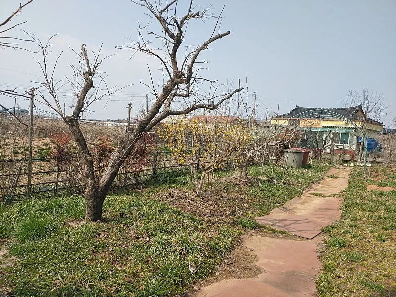 Country House for Sale in Bonghwang-myeon, Naju-si, Jeonnam, with Yard and 440 Pyeong of Field photo 7
