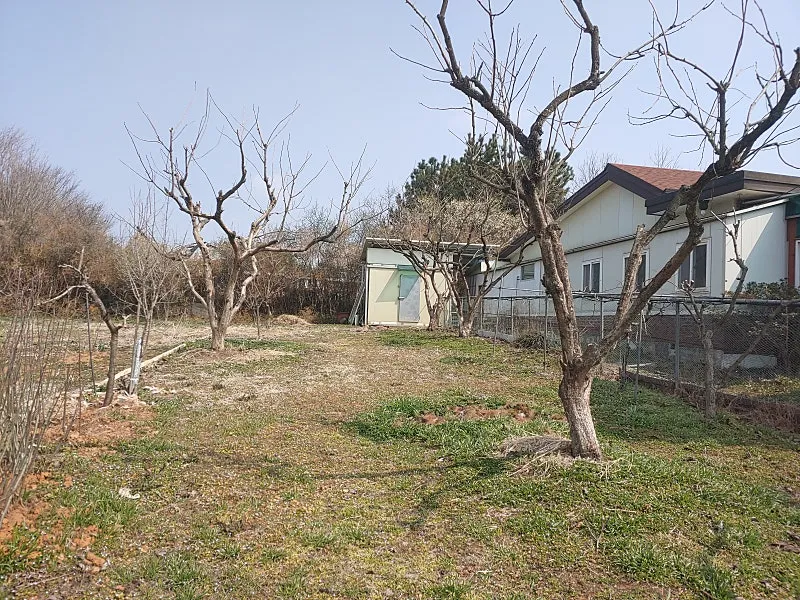 Country House for Sale in Bonghwang-myeon, Naju-si, Jeonnam, with Yard and 440 Pyeong of Field photo 5