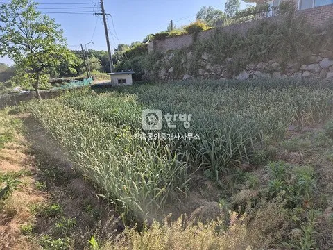 Country House-Style Family Shrine for Sale on a Large Lot in Hapcheon-eup, Hapcheon-gun, Gyeongsangnam-do photo 7