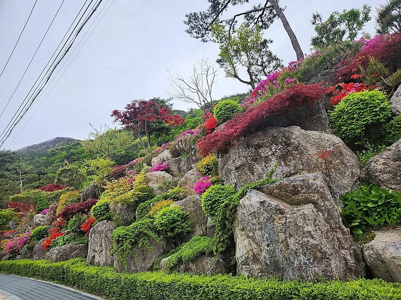 Rural Home for Sale in Chubu-myeon, Geumsan, Chungcheongnam-do; 998.34㎡ Lot and Remodeled House photo 8