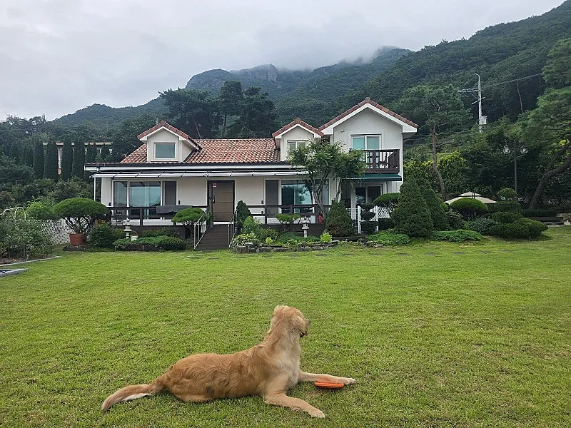 Rural Home for Sale in Chubu-myeon, Geumsan, Chungcheongnam-do; 998.34㎡ Lot and Remodeled House photo 4