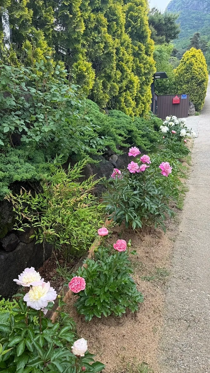 Rural Home for Sale in Chubu-myeon, Geumsan, Chungcheongnam-do; 998.34㎡ Lot and Remodeled House photo 5