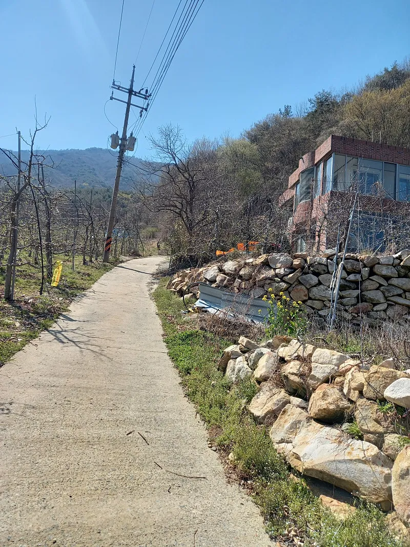 Gyeongsangnam-do Miryang Sannae-myeon 313-Pyeong Apple Orchard Country House for Sale photo 4